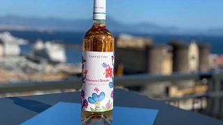 La experiencia de cata de vinos con almuerzo en Casa Setaro