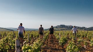Vinprovning och rundtur på Domaine Pierre Riffault