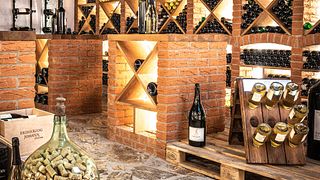 Weinprobe und Führung bei Erzherzog Johann Weine