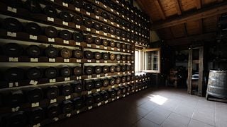 Innamorati dei vini in stile emiliano alla Tenuta Medici Ermete & Figli