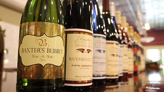 Cata de vinos y visita al viñedo de Baxter