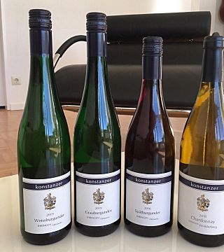 Dégustation de vins et visite au Weingut Konstanzer