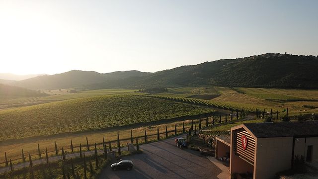 Tenuta Dodici