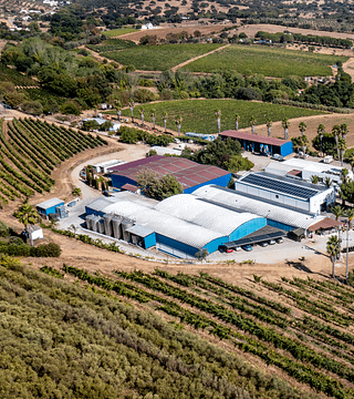 Cata de vinos Bronce en Quinta Da Plansel