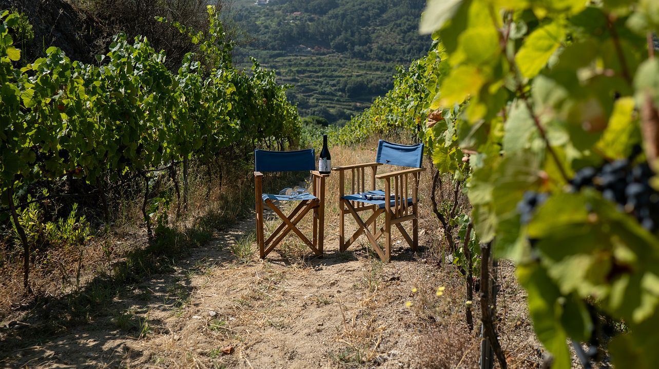Vinho Verde Tasting