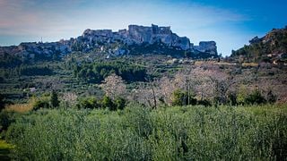 Aldeias medievais de Les Baux de Provence, a experiência envolvente de Carrières de Lumière, a cultura de Saint Rémy de Provence, a comida e o azeite e os sabores dos vinhos Domaine de la Vallongue.