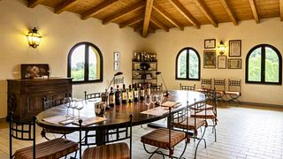 VISITE DES VINS, DÉGUSTATION ET DÉJEUNER LÉGER DANS LA CAVE