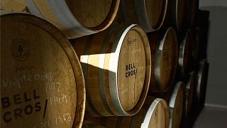 Degustação na Vinícola, 8 vinhos / Bell Cros