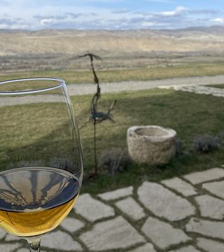 Dégustation de vins et dîner au domaine d'Uplistsikhe