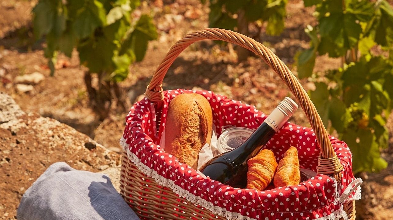 Patricius Tokaji Cata de vinos y picnic