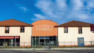 Cantina Puianello