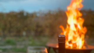 Premium-Weinprobe bei Claymore Wines