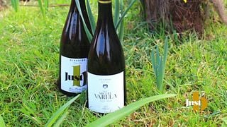 Cata y tour de vinos en Just B Galicia