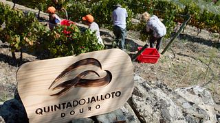 Quinta Do Jalloto