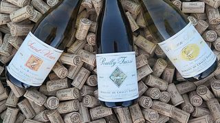Degustazione di vini e visita al Domaine du Chalet Pouilly