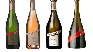 Weinprobe und Tour im Maison Louis Picamelot