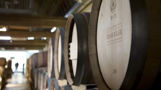 Vinprovning och rundtur hos Weingut Hans Igler