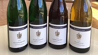 Degustazione di vini e visita alla Weingut Konstanzer