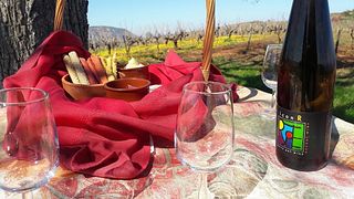 Cata de vinos y visita guiada a la bodega Acheon