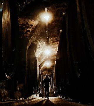 Le rêve des amateurs de vin de la région de Stajerska Slovénie