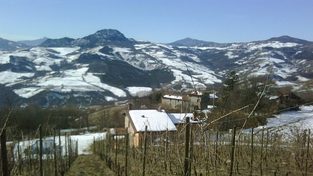 Degustazione e visita al Casè