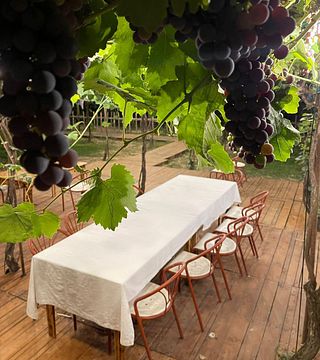 Una fetta di felicità rurale - Tour di degustazione di vini del villaggio di Roshnik