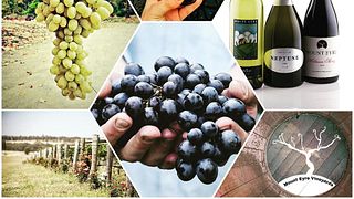 La straordinaria esperienza di degustazione di vini ai vigneti di Mount Eyre