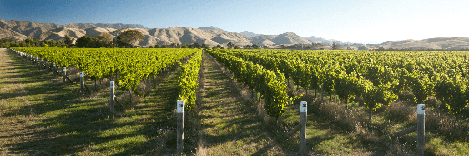 Marlborough