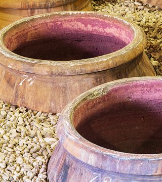 Visita y degustación en Azienda Agricola COS