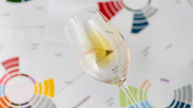 Cómo degustar como un profesional