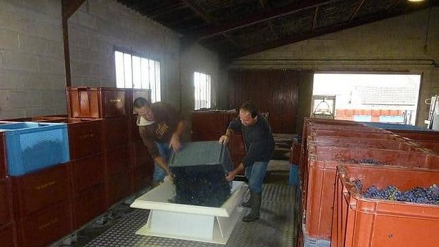 Degustação de champanhe e tour em Champagne Gratiot Delugny