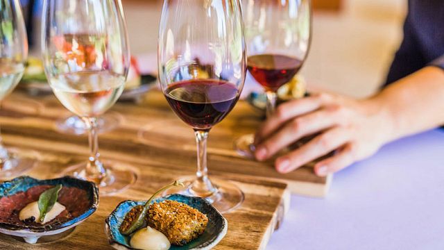 Valle de los cisnes premium para amantes del vino: tour semiprivado de día completo