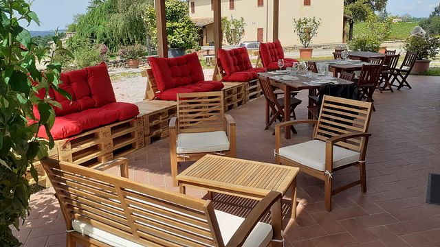 Degustación de vinos, quesos y bruschettas +Tour en Terre di Perseto - Bodega Chianti Classico