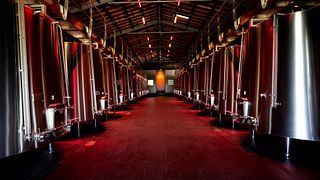La Maison Cardinale: A Unique Bordeaux Winery