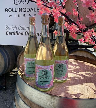 Vinprovning på Rollingdale Winery