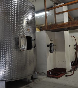 Degustazione di vini, spiegazioni e tutte le risposte possibili alle vostre domande!