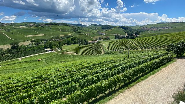 Weinprobe bei Fratelli Serio & Battista Borgogno