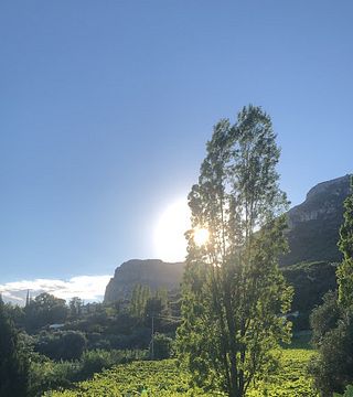 Degustazione di vini Baussum a Vignoble Rasse