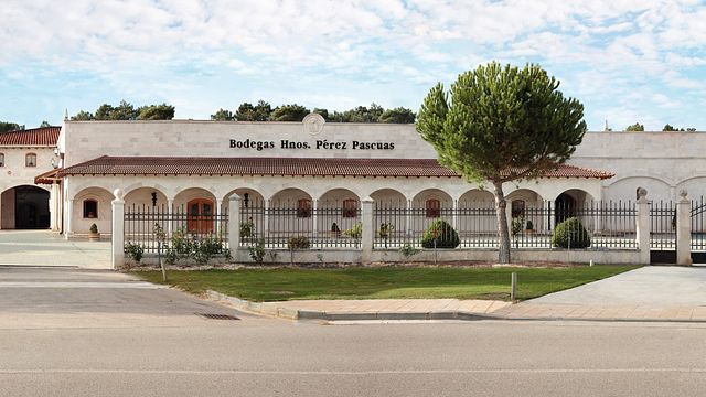 Beliebte Weinprobe mit Käse bei Bodegas Hnos. Pérez Pascuas - Viña Pedrosa