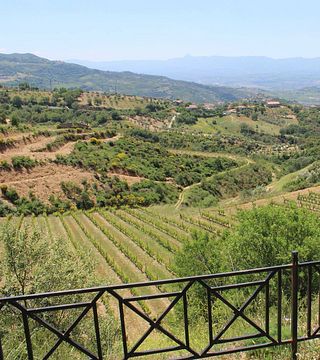 Azienda Agricola Serracavallo: A Hidden Gem in Calabria