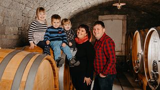 Degustação de vinhos e passeio em Kmetija Tomažič