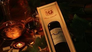 Dégustation de vins et visite du Weingut Franz Schindler