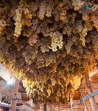 Tour e Degustazione Vini presso la Cantina Colonna Nell'Alta Valle del Tevere