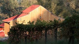 Degustação de vinhos e passeio na Westbrook Wine Farm