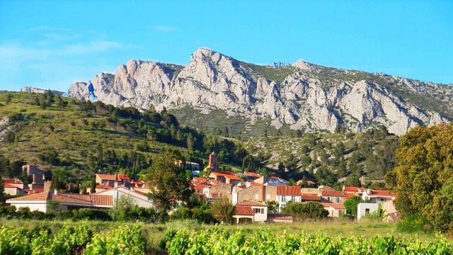 Cata de vinos por la mañana y visita guiada en Domaine Vents du Sud 