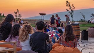 Van Ardi Winery