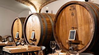 Savor 6 Barolo Wines on a Langhe Cellar Tour