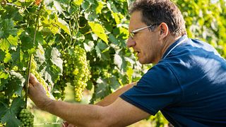 Cascina Fontanette Winery