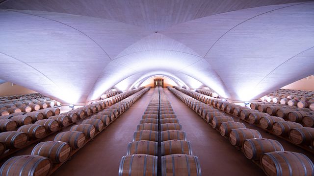 Cata de vinos "El Señor de Otazu" y tour en Bodega Otazu