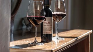 Tuscan Wine & Vineyard Tour at Capezzana